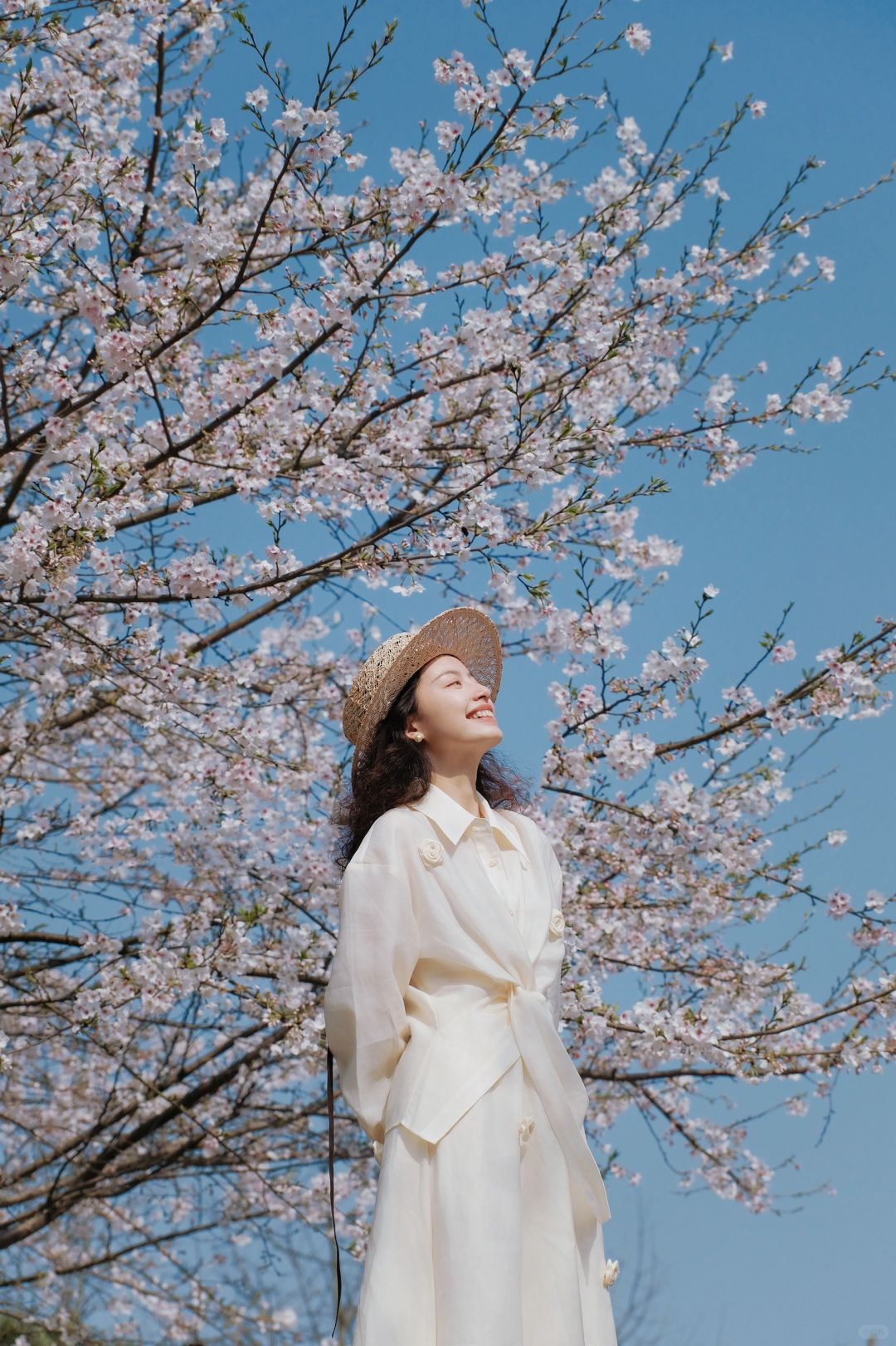 春天怎么能不拍樱花呢，美得像电影一样！