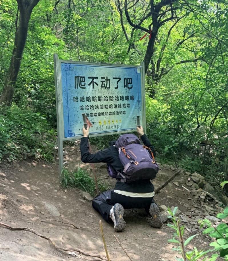 嵩山景区网红标语牌“爬不动了吧，哈哈哈哈哈”，在遭到个别游客“嘲讽游客”的投诉后