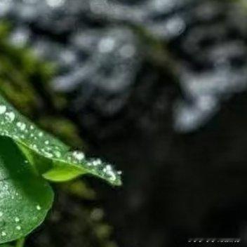 相信自己，就是解决所有问题的关键。正确之事重复做，重复之事用心做，用心之事坚持做