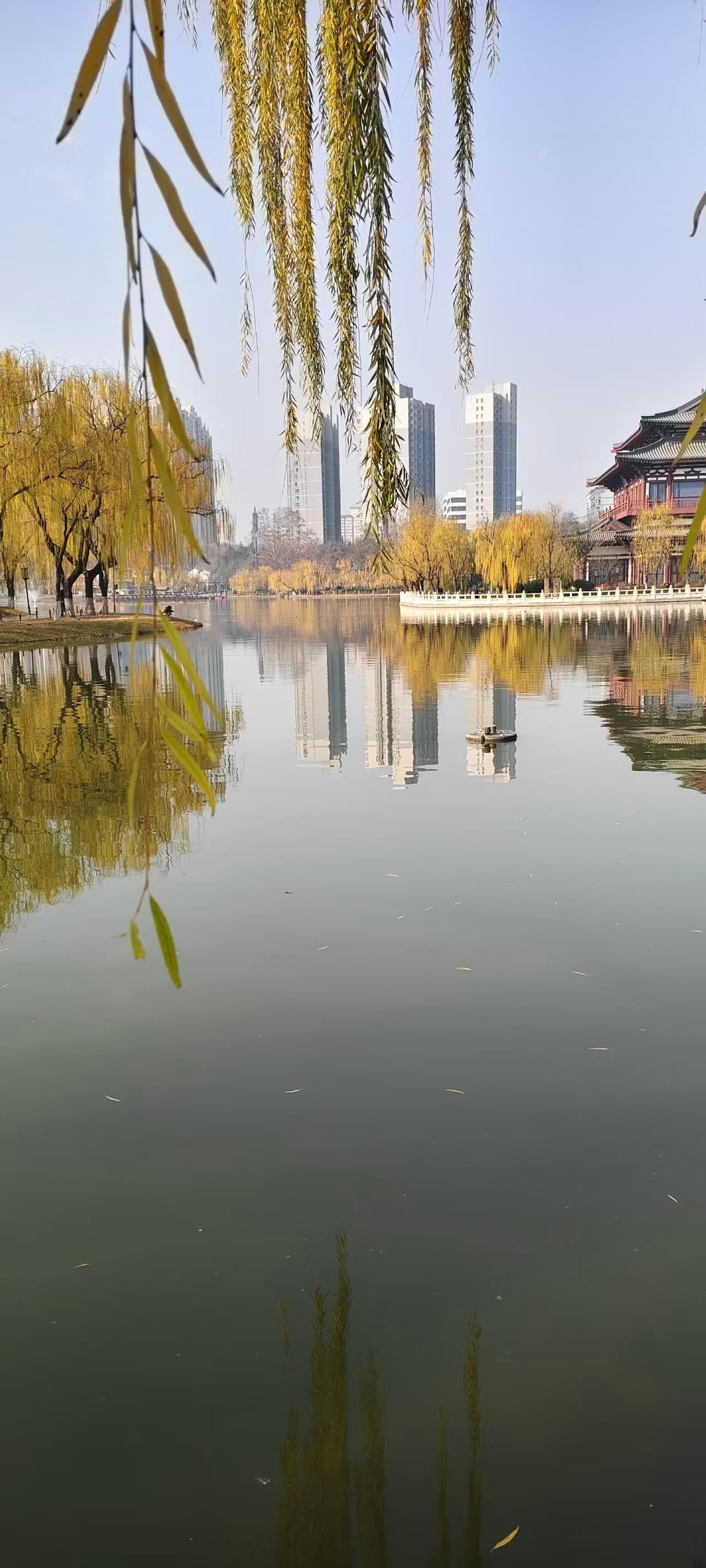 今早晨跑，偶遇老友宝哥，闲聊时说起儿媳过生日的琐事。
 
他听我张口闭口喊儿媳“