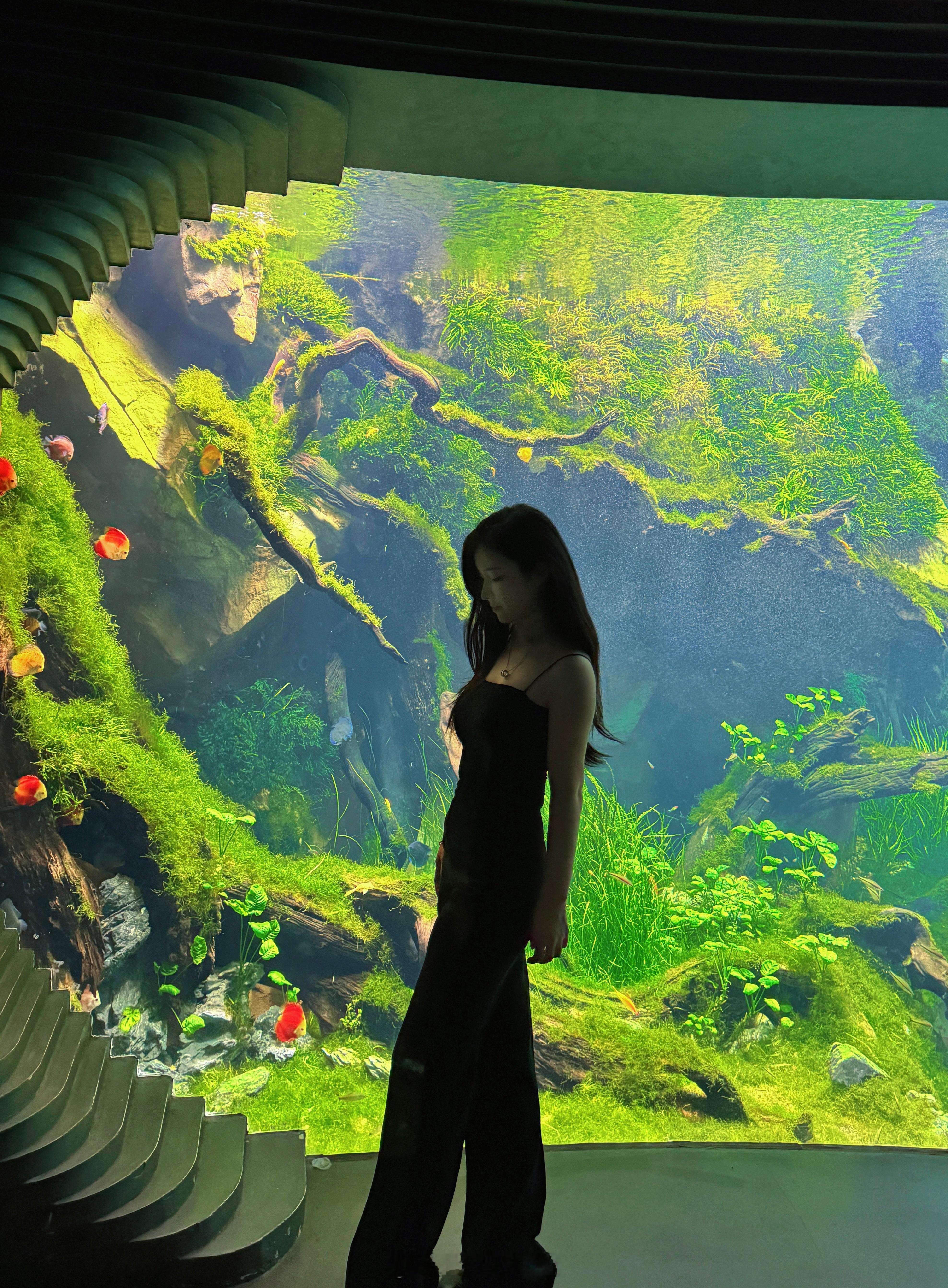 在海底森林，我看到了会飞的金鱼🌿 ​​​