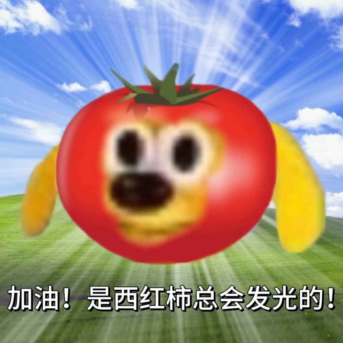 生活过的太难了 我上辈子一定是道数学题 ​​​