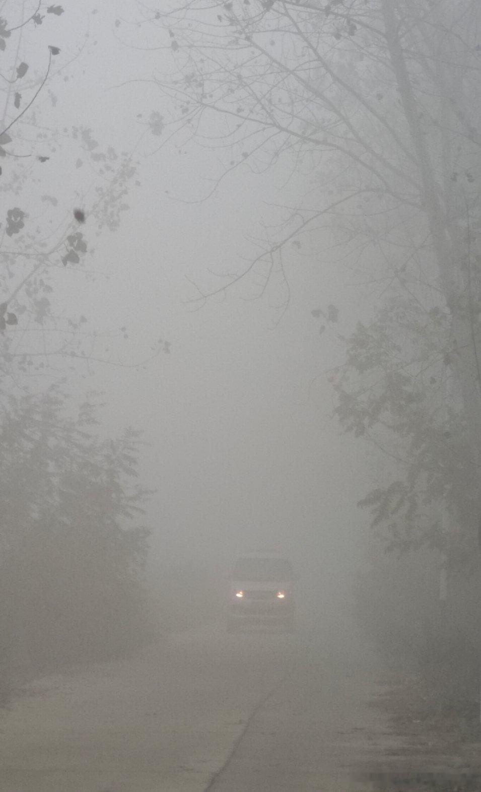 大雾天气[允悲] ​​​
