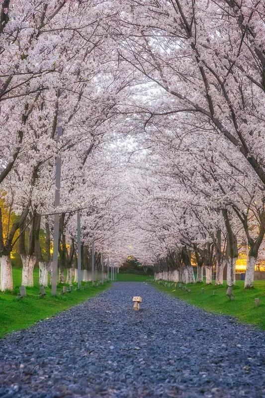 上联：小路清风过，求下联大道欢快走