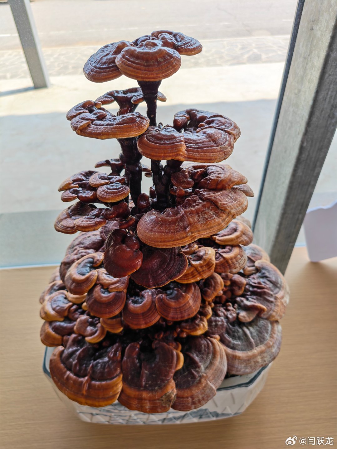 汇源生态农业园一日游 北京·汇源生态农业园区