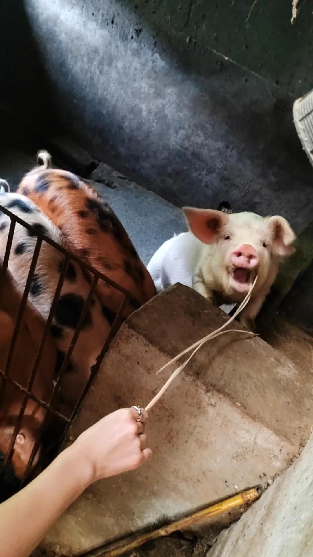 大家有在日常生活中有没有手机充电速度突然变慢的情况吗？