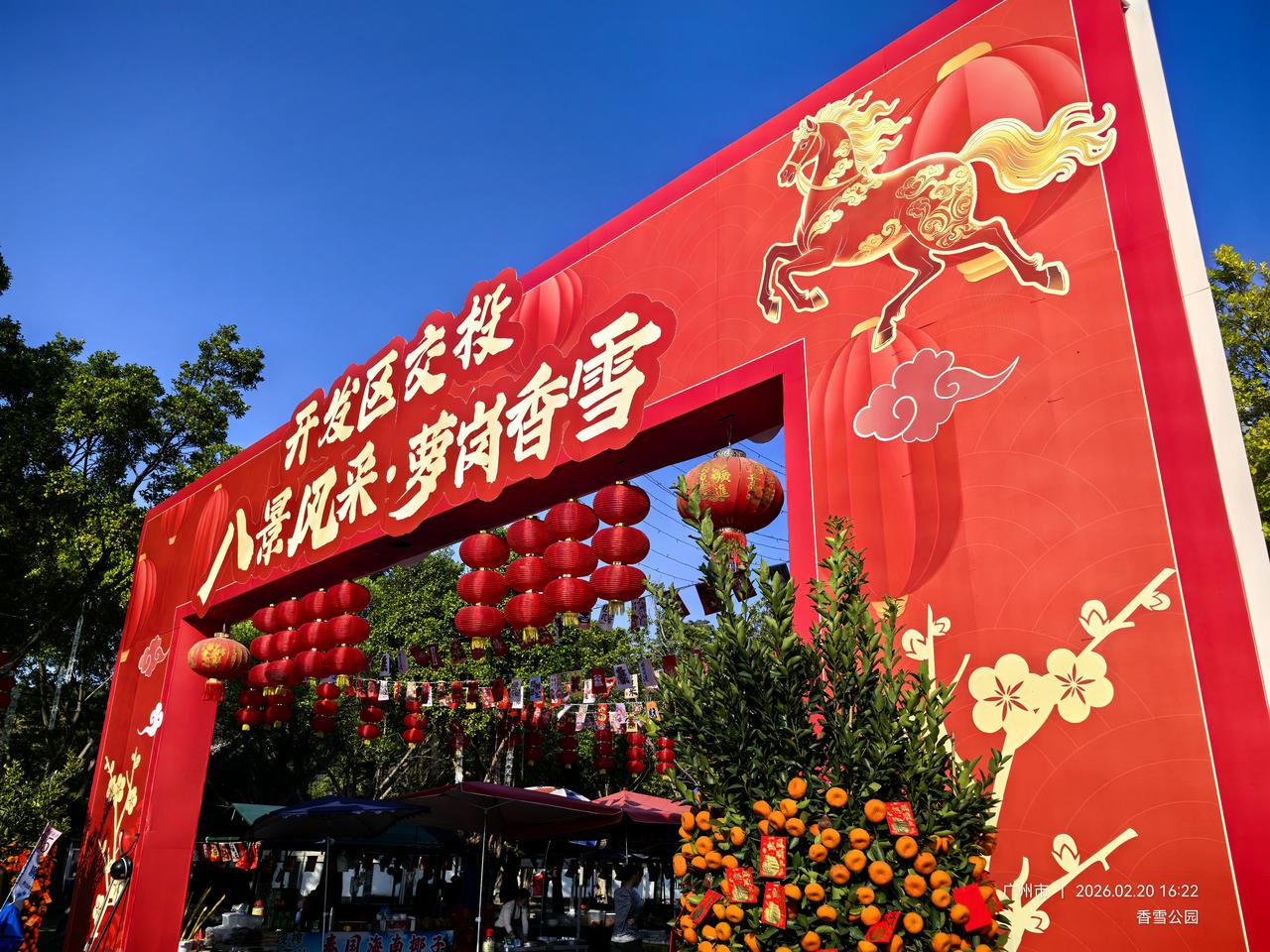 萝岗环境，广州第一。没事就来香雪公园转转，那么大一个公园，种满了各式梅树。如今已