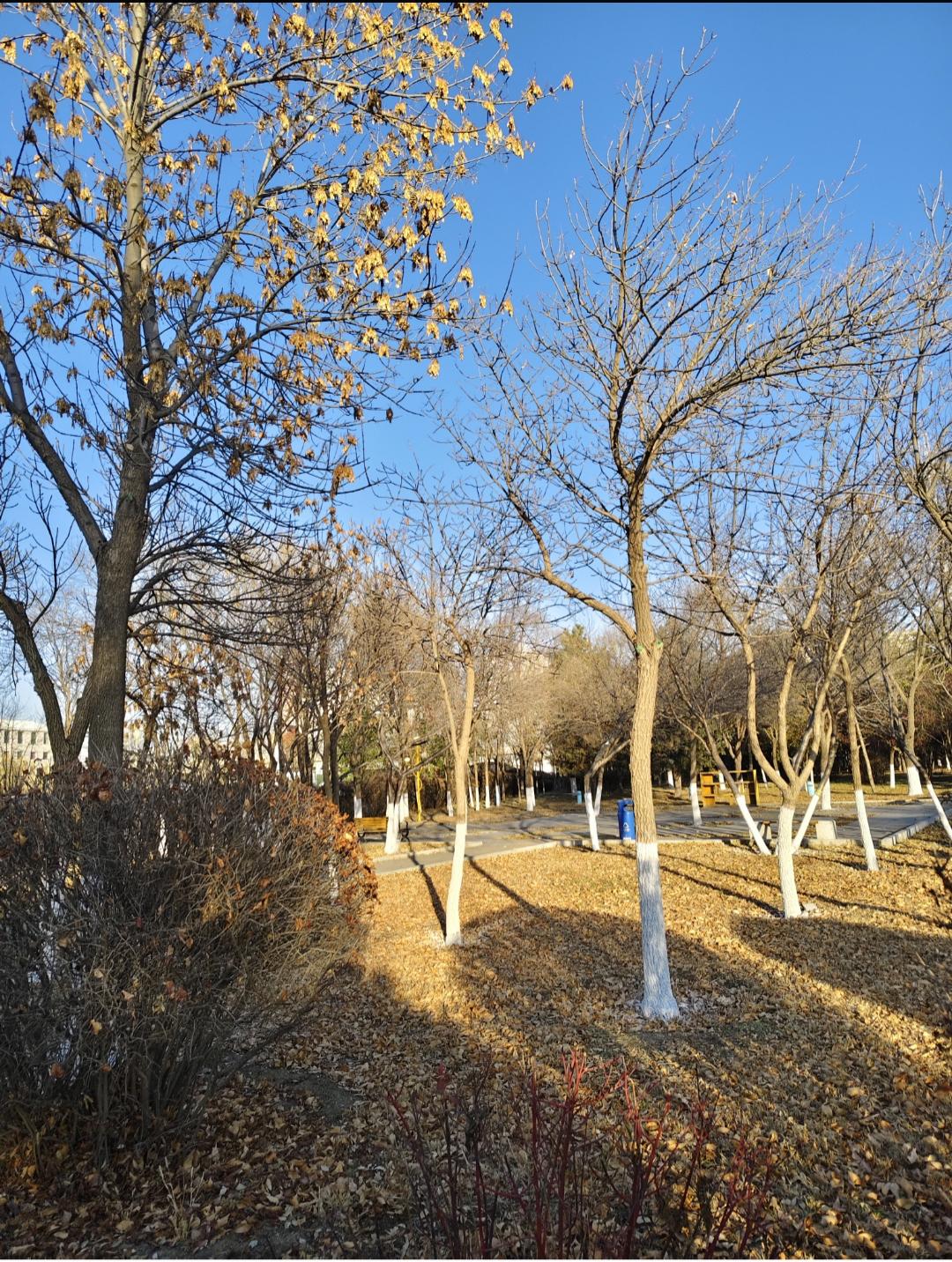 原来这就叫感官过载！很多人天天都在经历，却不知道名字
 
你有没有过这种感觉：