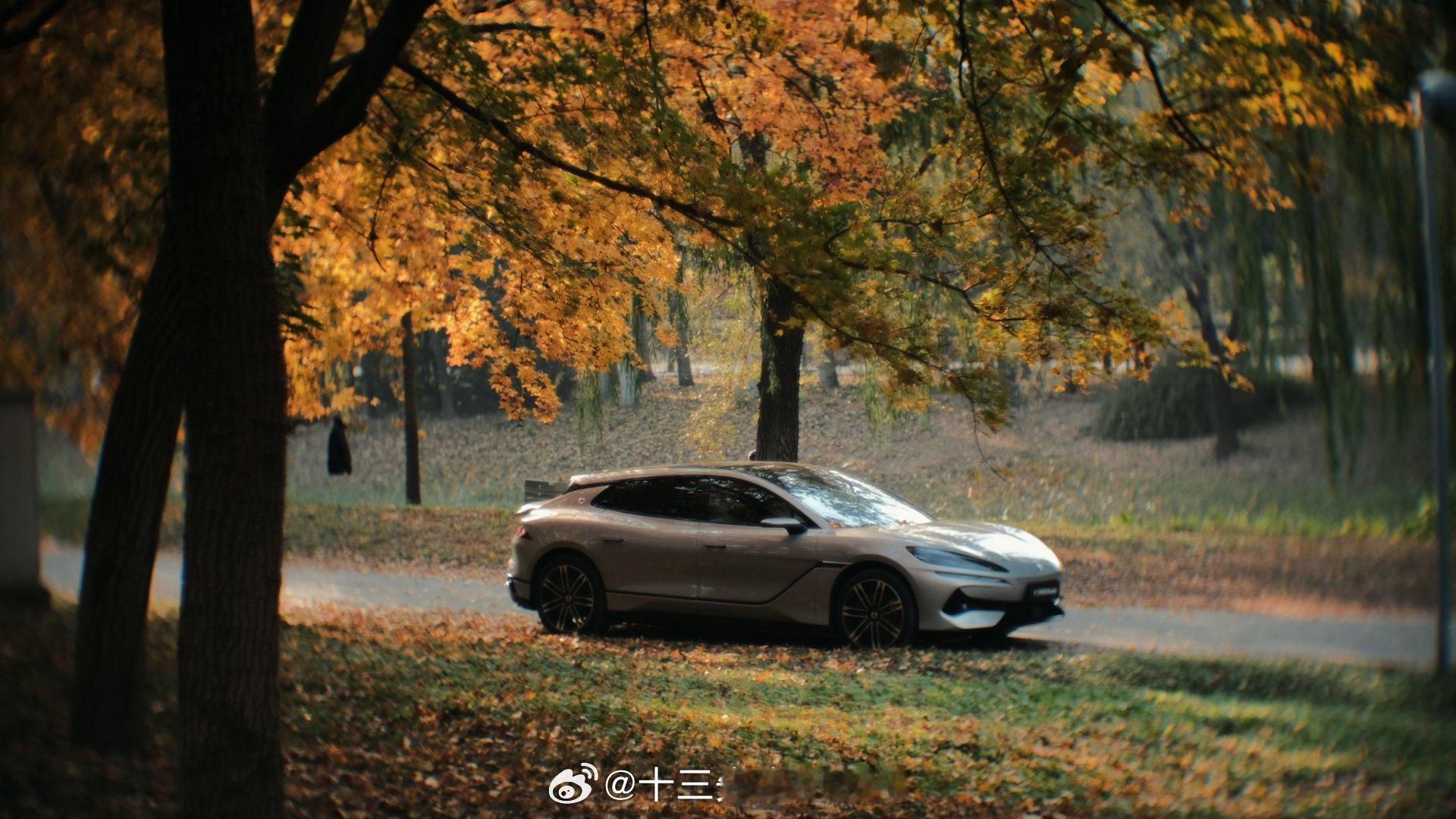 Lost in Autumn ！每年的固定秋叶打卡季，今年的主角是心心念念的腾势