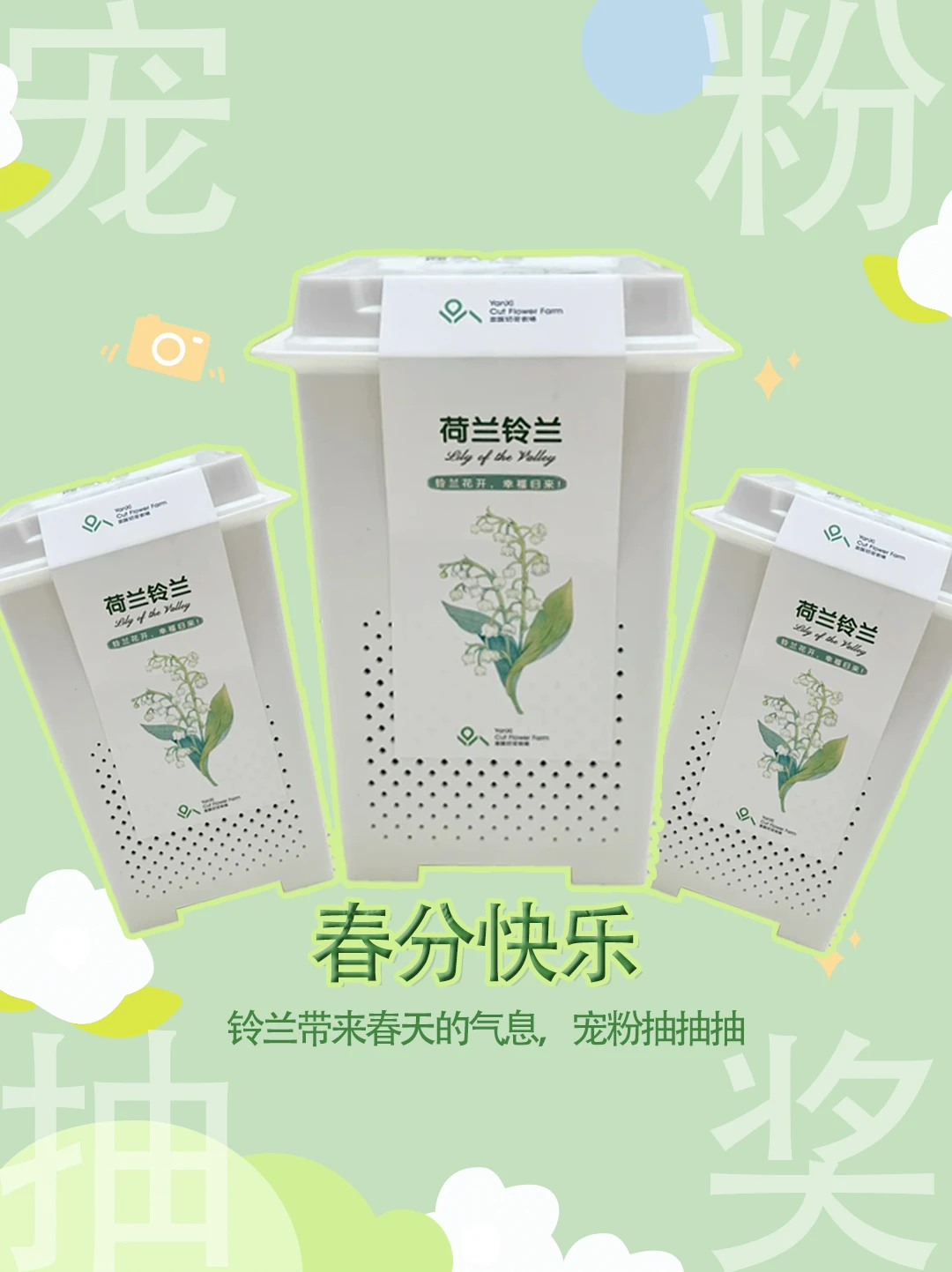 ✨春天正当时，宠粉宠不停！！！