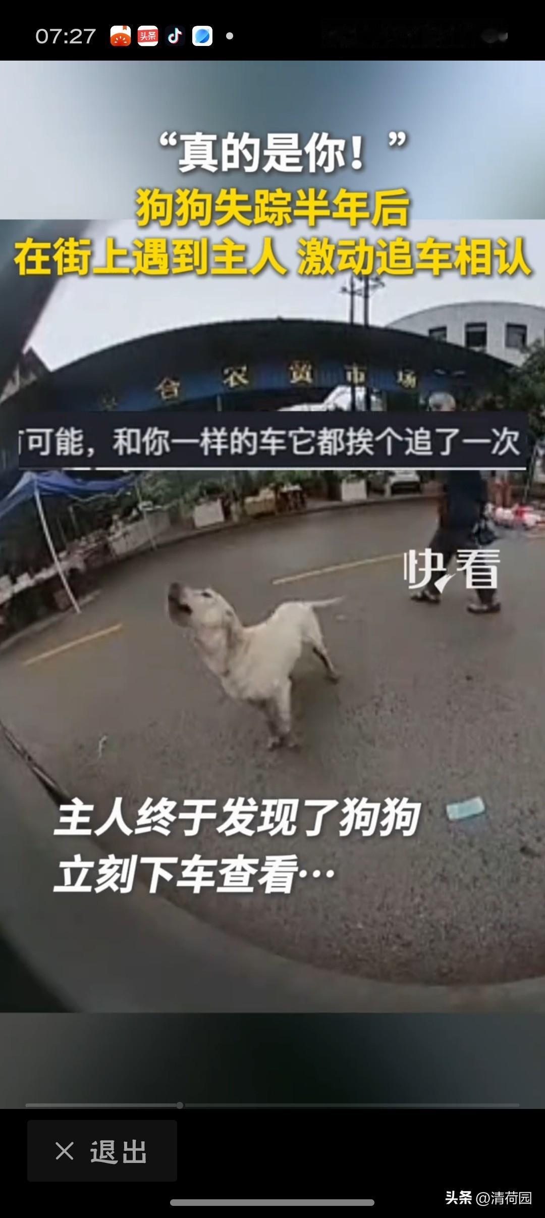 狗狗失踪半年后街上遇到主人追车相认"你弄丢它一时，它找了你半年。追的不是车，是家