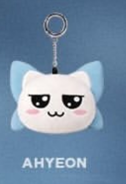贤蝶猫图鉴持续更新