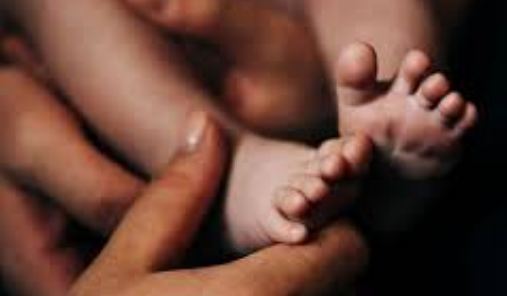 #印尼团伙雇夫妻扮父母贩婴到新加坡#【按“颜值”标价！印尼犯罪团伙雇真夫妻扮父母