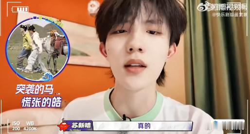 苏新皓告马的状 苏新皓说起牵马的经历，马儿看着乖巧，互动时却有自己的小想法。 ​