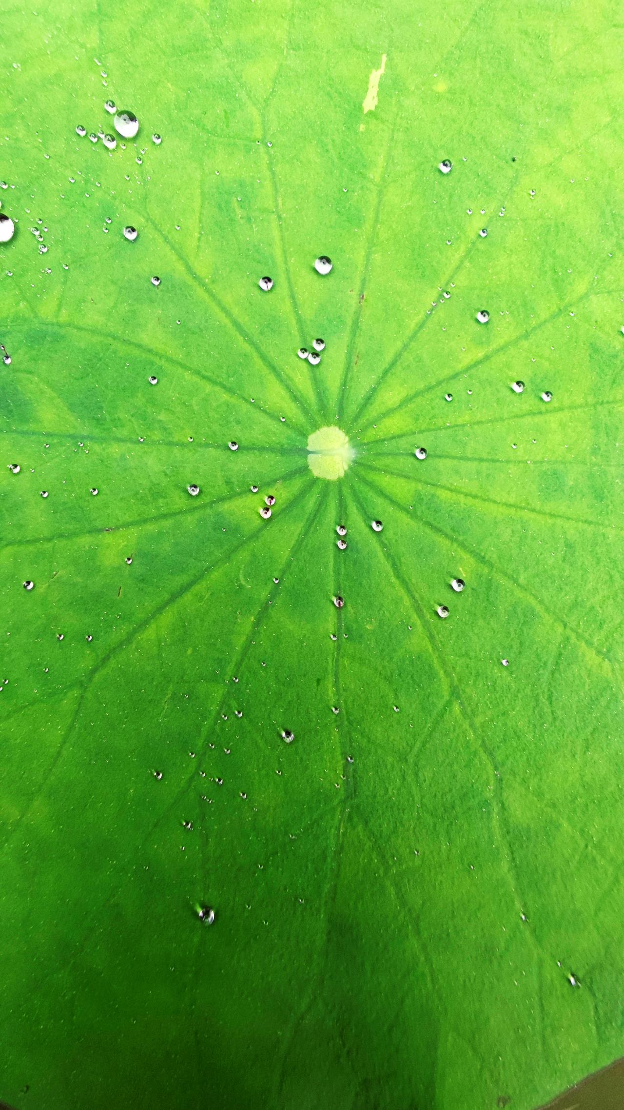 修行，
不是要修到没有情绪，
而是要顺其自然的合理表达情绪，
不要去计较鸡毛蒜皮