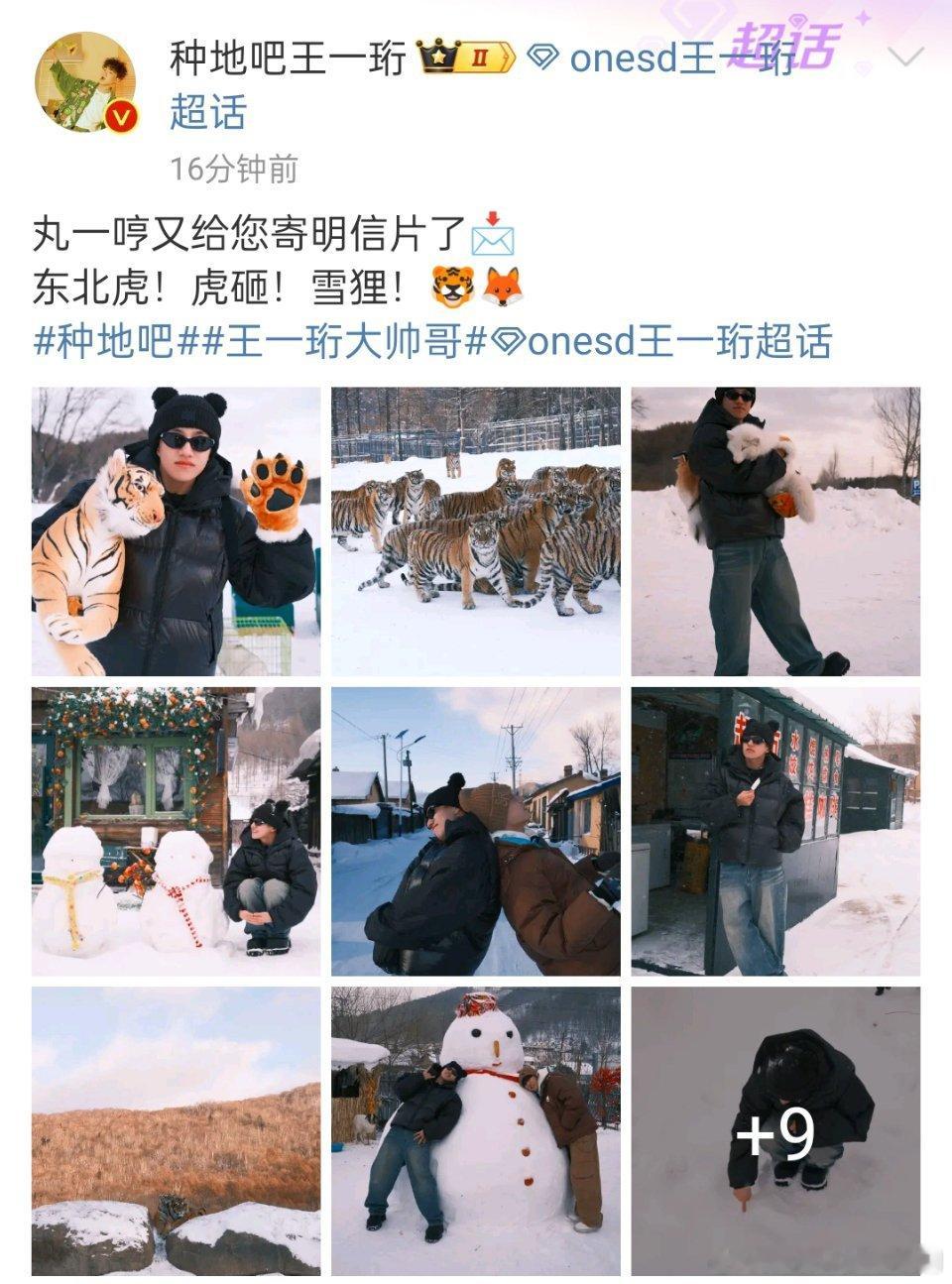王一珩晒东北虎虎砸  王一珩晒雪狸 又来寄明信片了[哇]爱看，多发！ 
