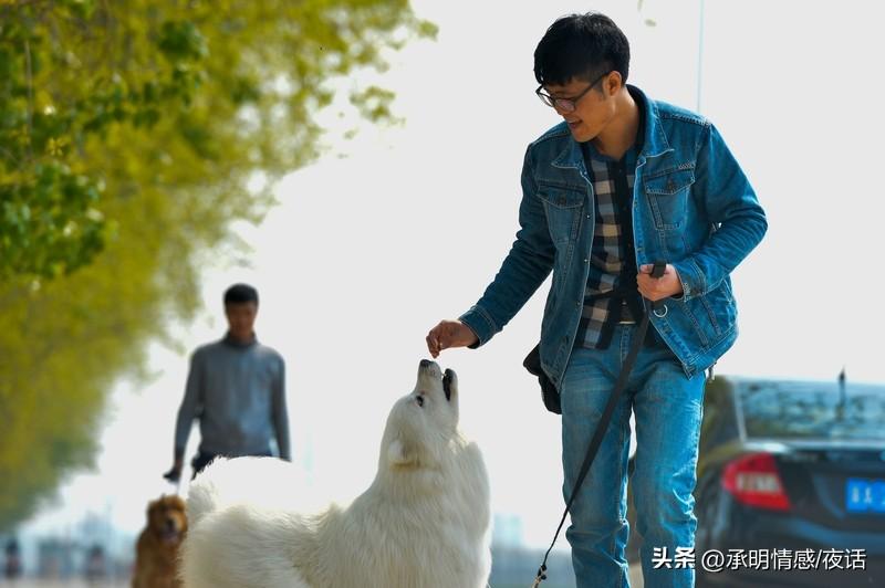 掌握3招平衡爱与被爱的相处技巧了吗？
先回应情绪：爱你的人会主动承接你的负面情绪