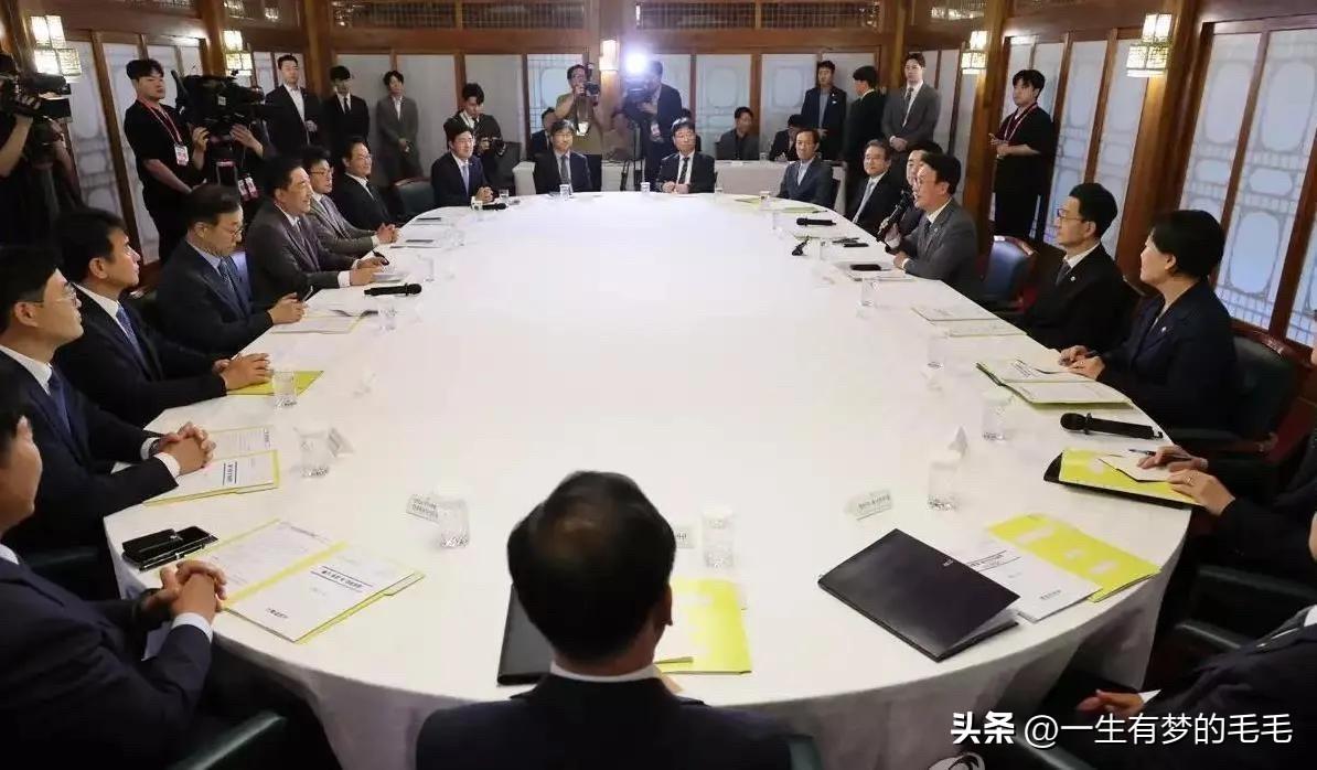3月10日，韩国政府在国务会议上通过相关决议，正式成立总统直属「光之委员会」，以