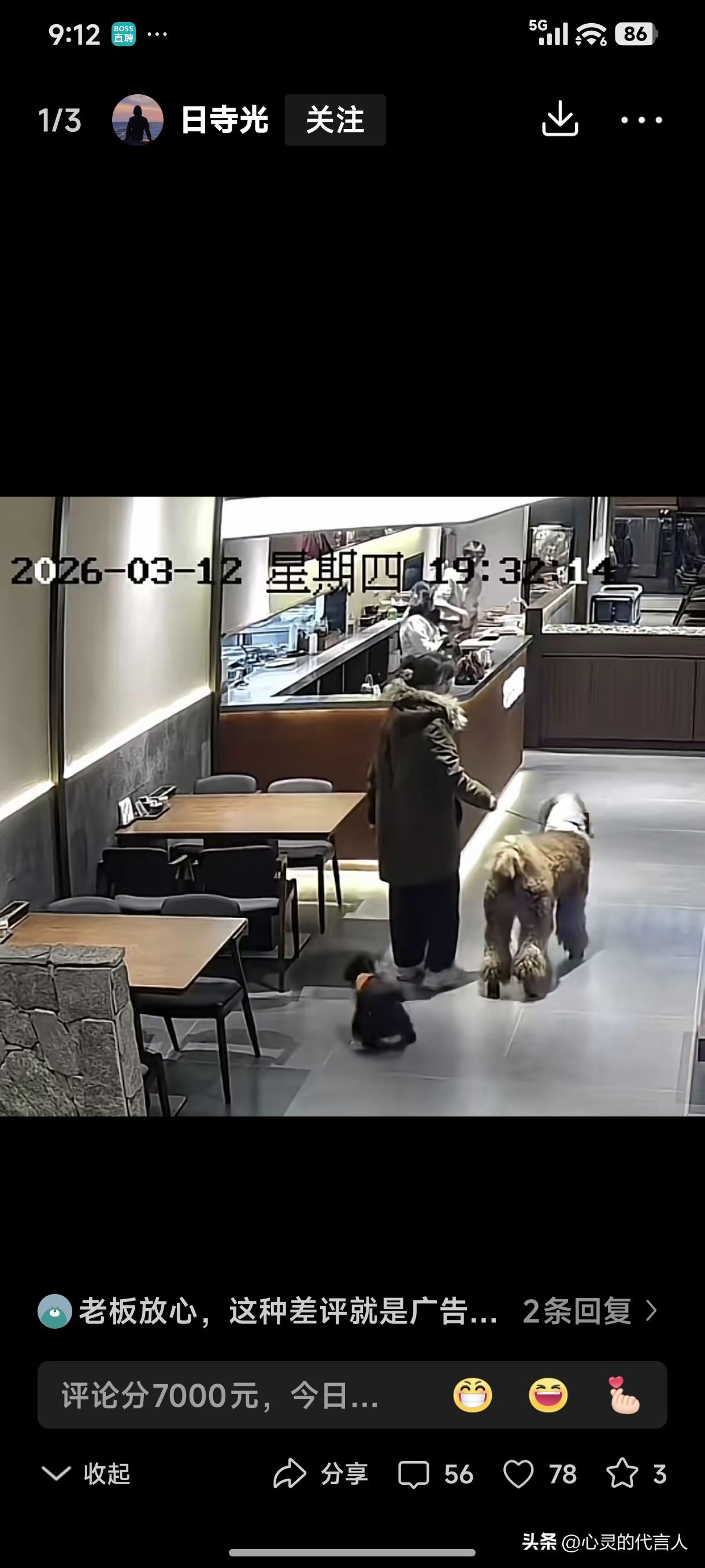 法国国犬巨贵，性情温顺，对人没有攻击性，最大的特点就是不掉毛、无体味儿。
餐厅不