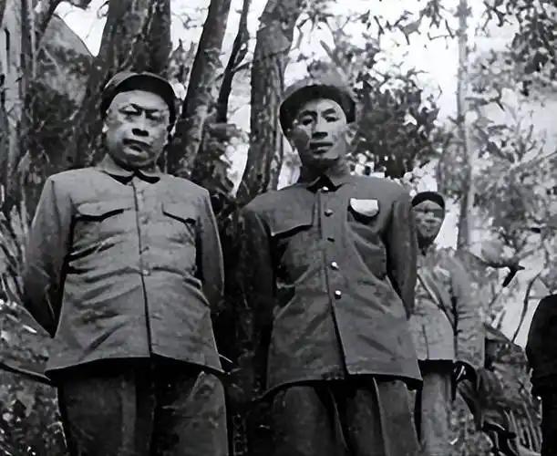 陈老总得知江抗赚了不少钱，亲自索要五十多挺机枪，叶飞检查后发现每个班竟然还能多分