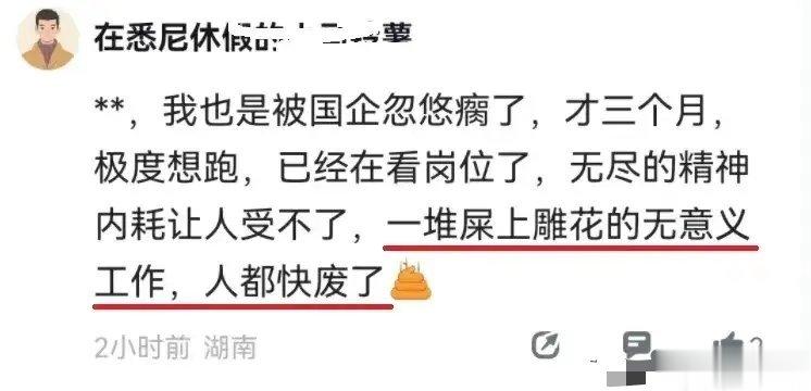 屎上雕花？太形象了[允悲] ​​​