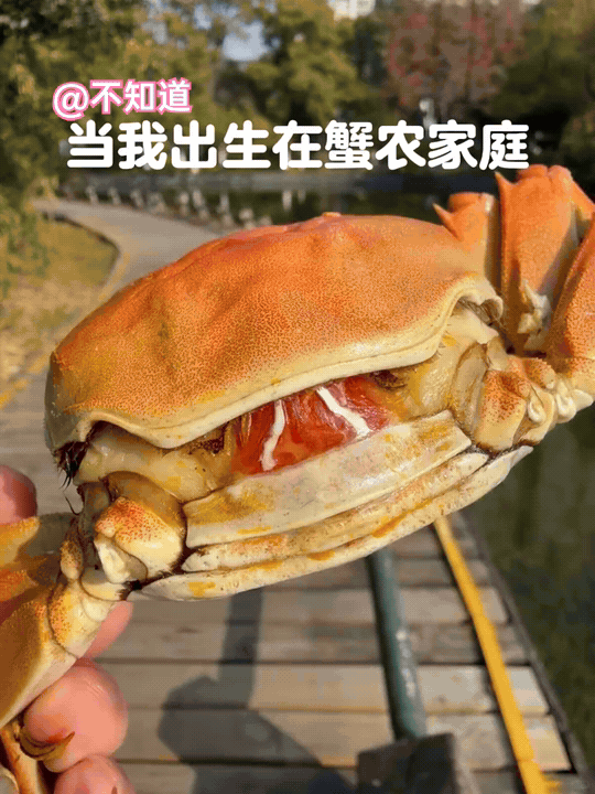 我在考虑
下辈子
要不要投胎蟹农家