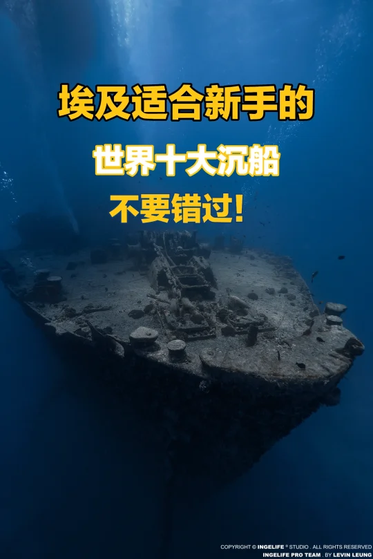 新手必冲的埃及二战沉船潜点｜蓝薊花