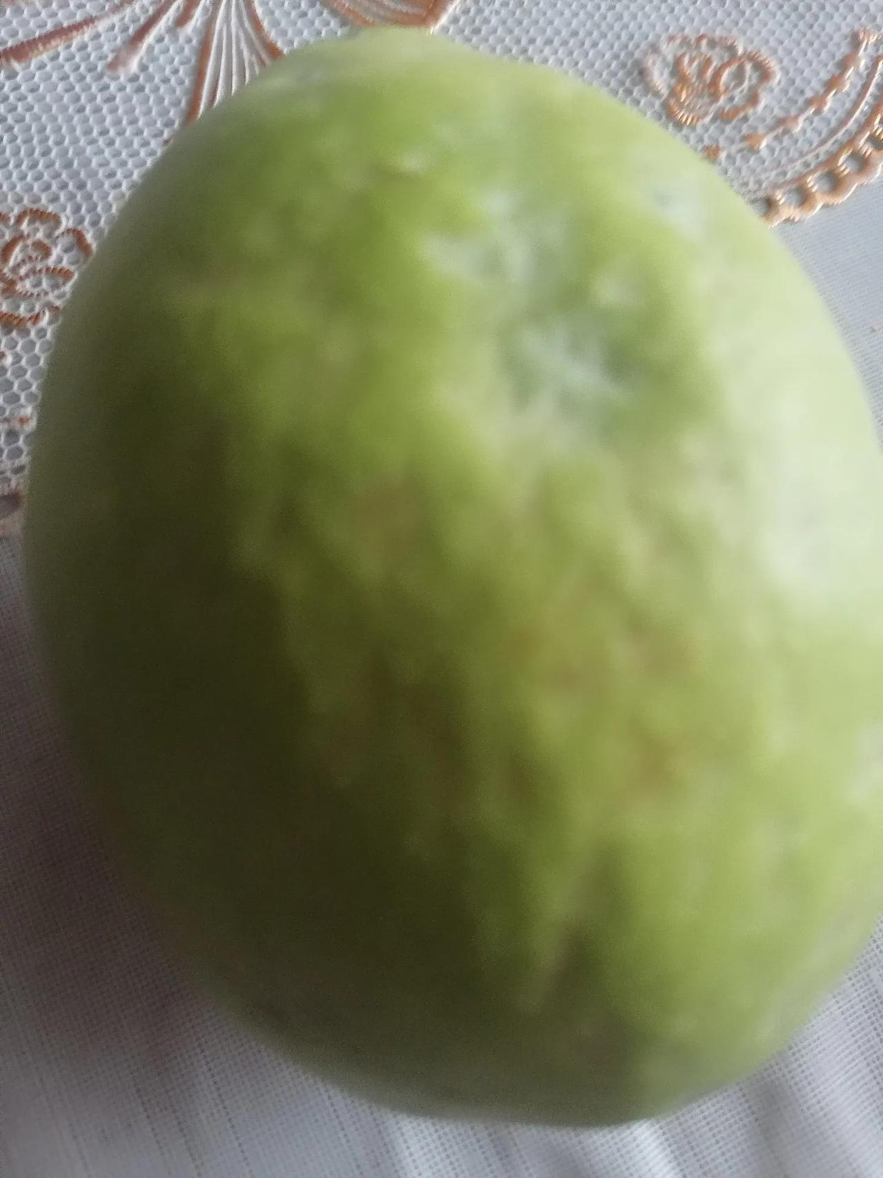  
菩萨蛮
木梨
九月木梨方翠绿，
十月木梨色亮黄。
成串挂枝头，
个大真耀眼。