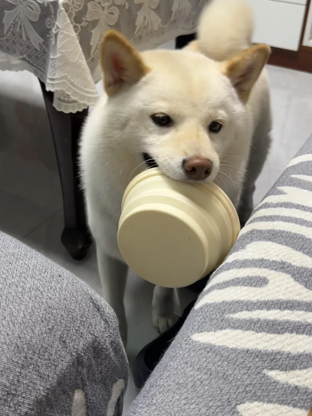 麻 我饭呢？