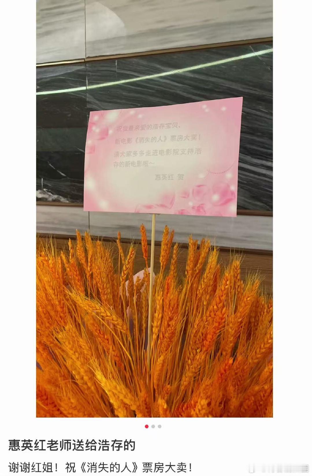 惠英红给刘浩存送大麦惠英红祝消失的人票房大卖双向温暖的影视圈友谊，惠英红助力新片