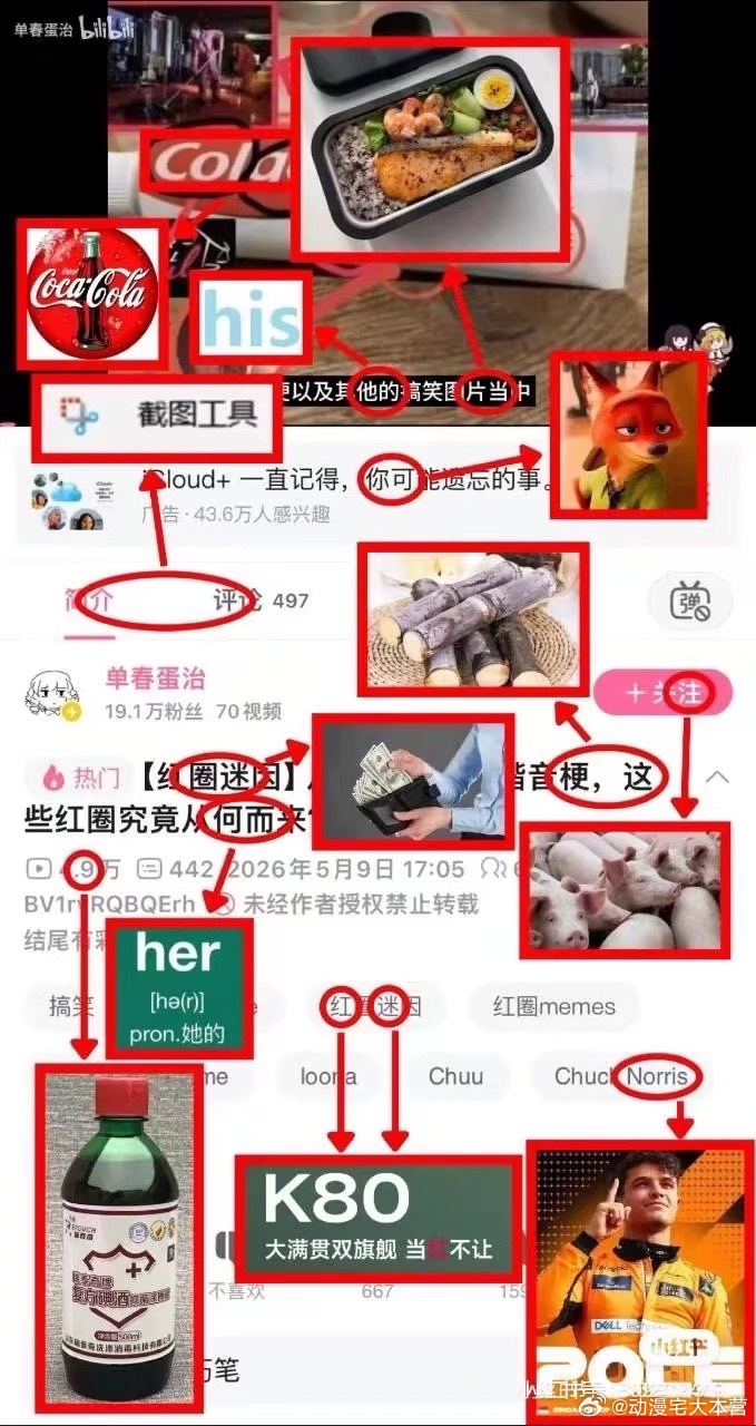 我感觉红圈meme简直是世界第一有意思 