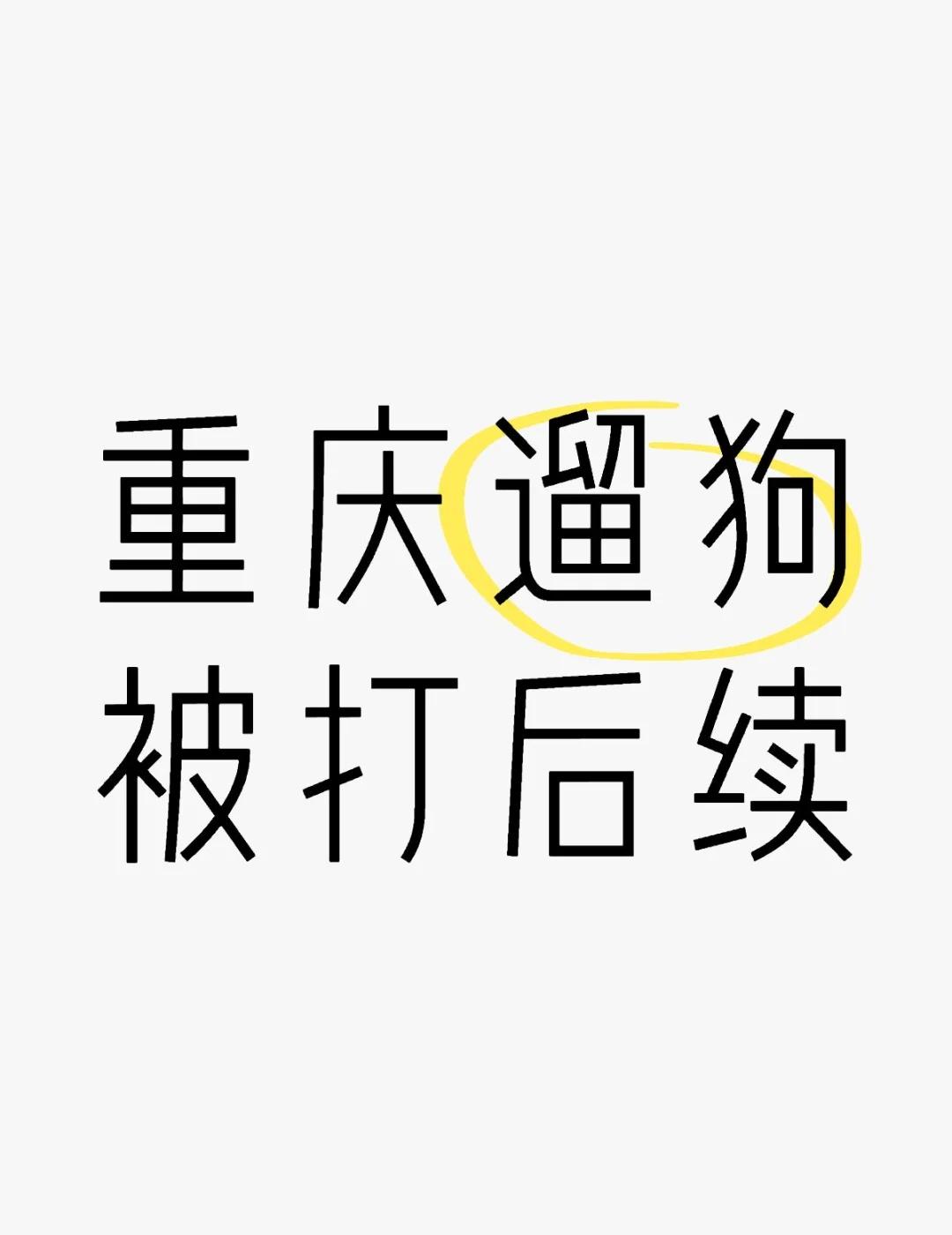 重庆遛狗被打后续，我会一直发
蹲一个后续 讨论重庆遛狗我真的不理解 真让我大开眼