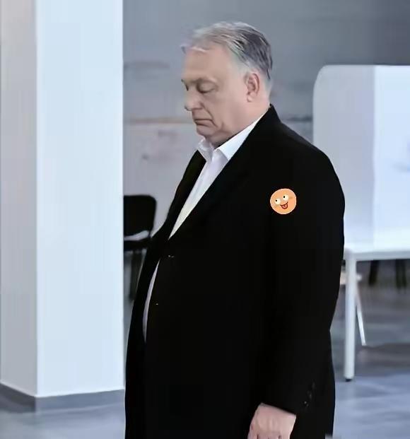 大国救不了欧尔班，美俄皆尴尬。欧尔班败了，被匈牙利人民抛弃，证明了他的亲俄、亲美