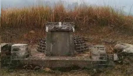 1986年4月的一天，捕蛇能手程地明因为心情不好，直接打死了一条红脖颈槽蛇，准备