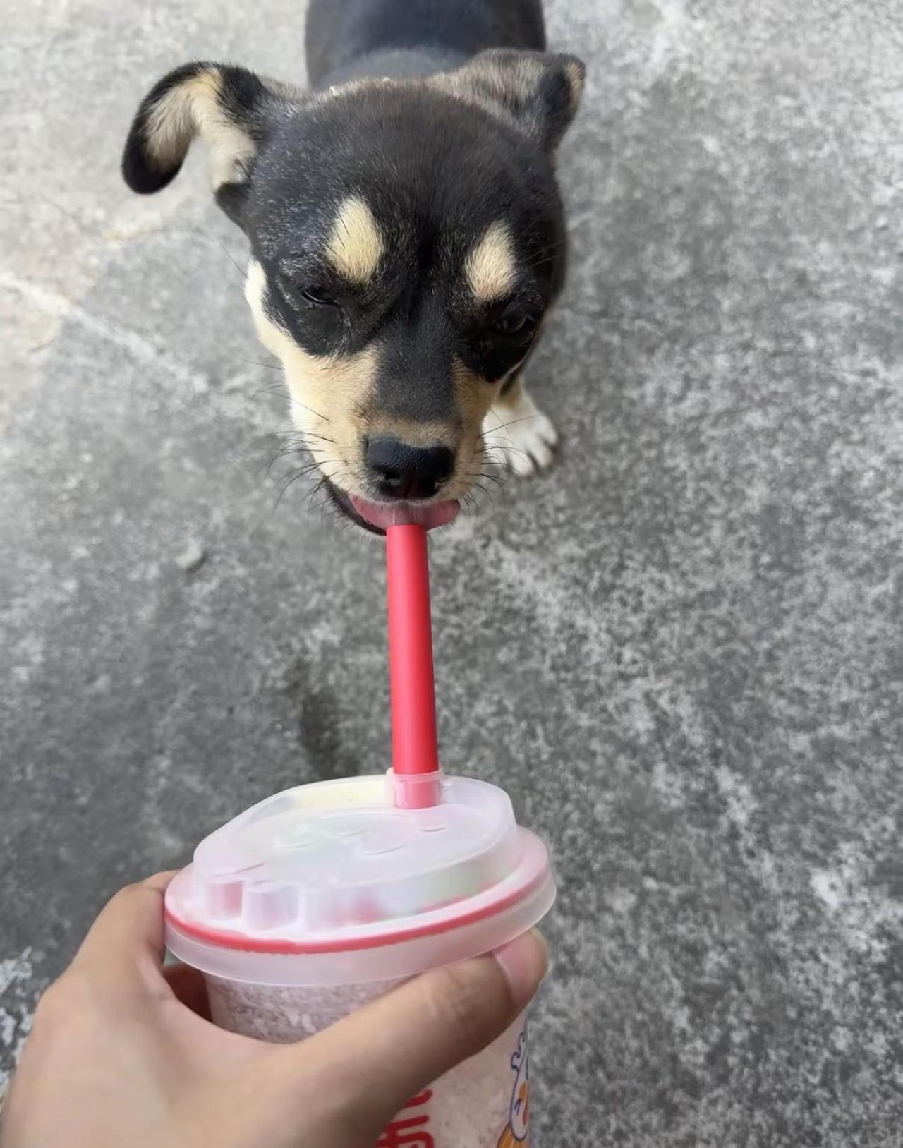 何必心存侥幸😊何必太羞耻😝犹犹豫豫会老的😔鼻子耳朵眼睛👃👂👀自己会思