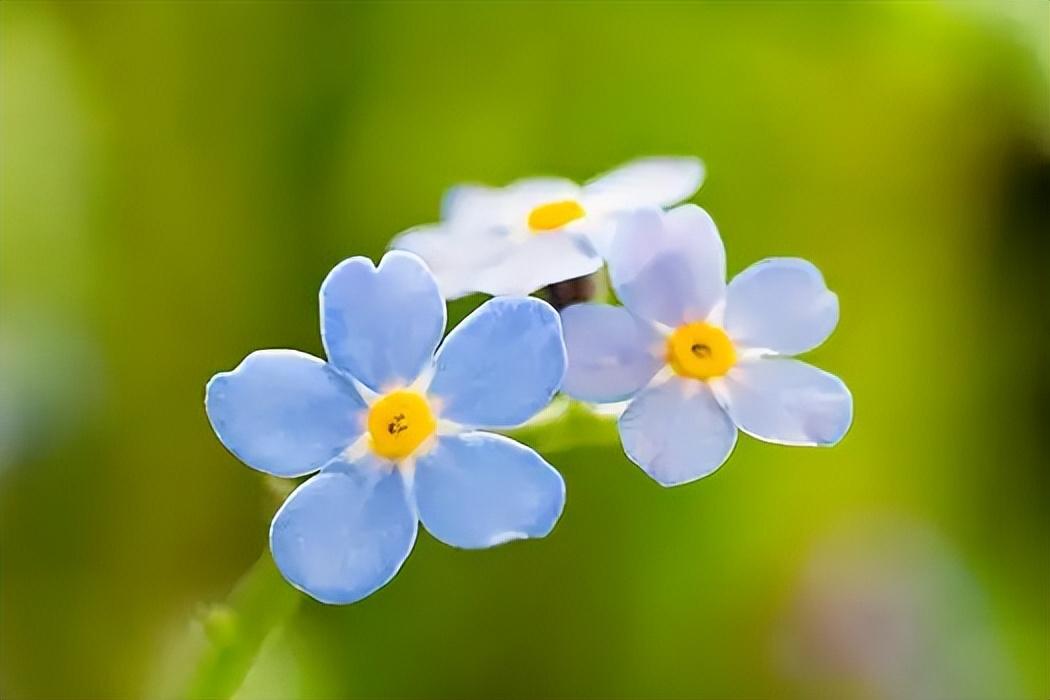 人生过半，才彻底明白，人除了生死，一切都是小事。
人这一生，总是要吞下很多的委屈