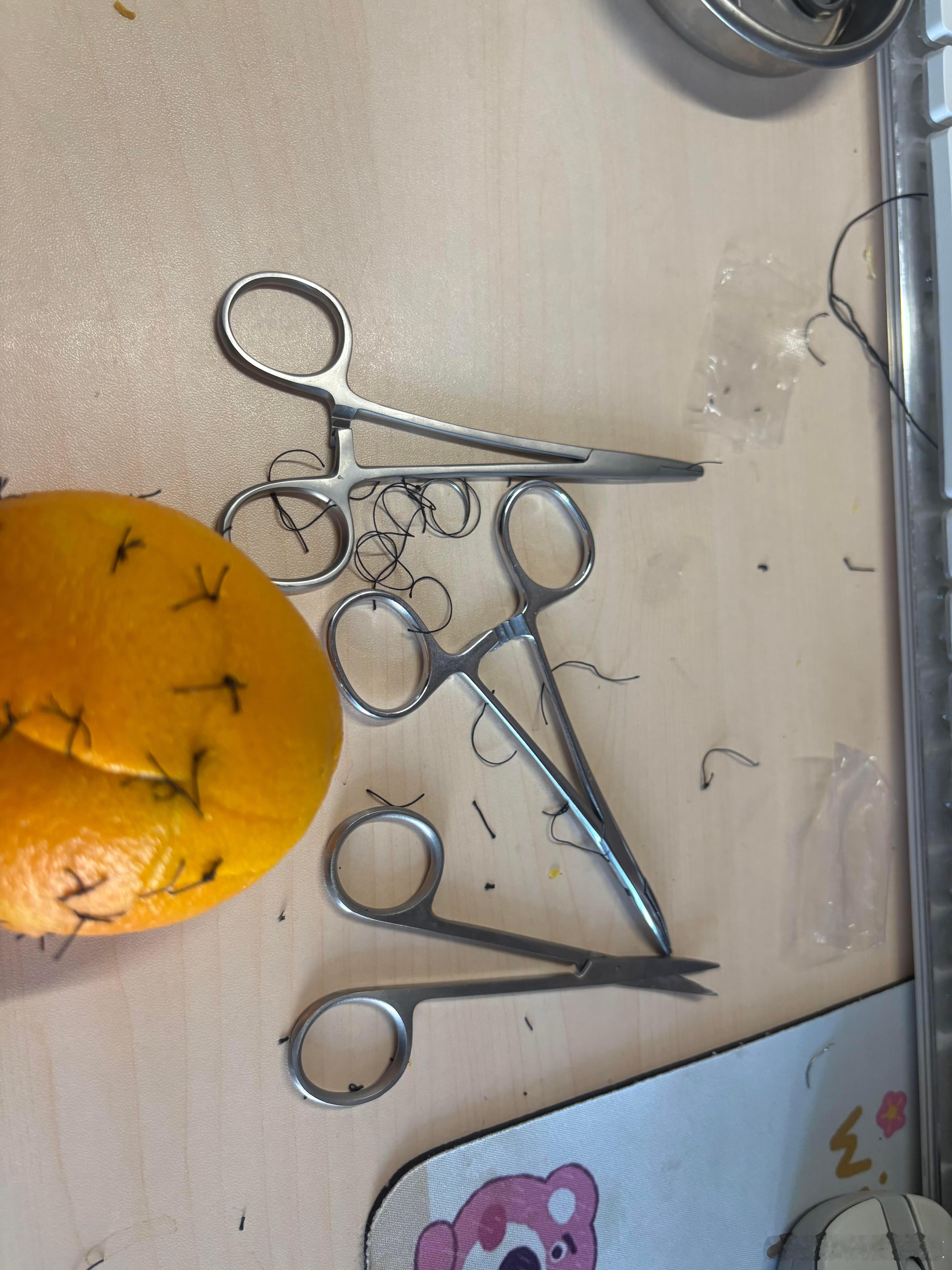 医生 我家赣南脐橙缝合手术回家后一直在哭 这是怎么了呀！ 