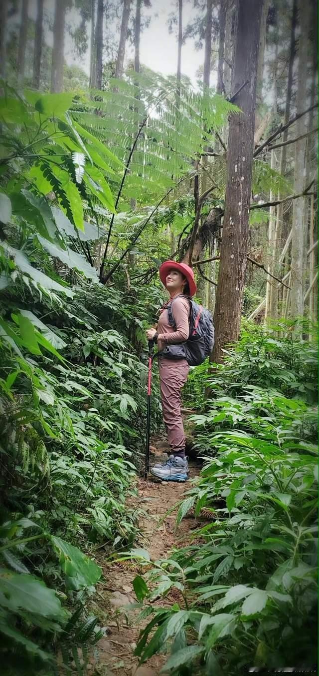 she合体爬山了二十多年了，她们还能这样毫无隔阂地打打闹闹！没有舞台妆造，没有剧