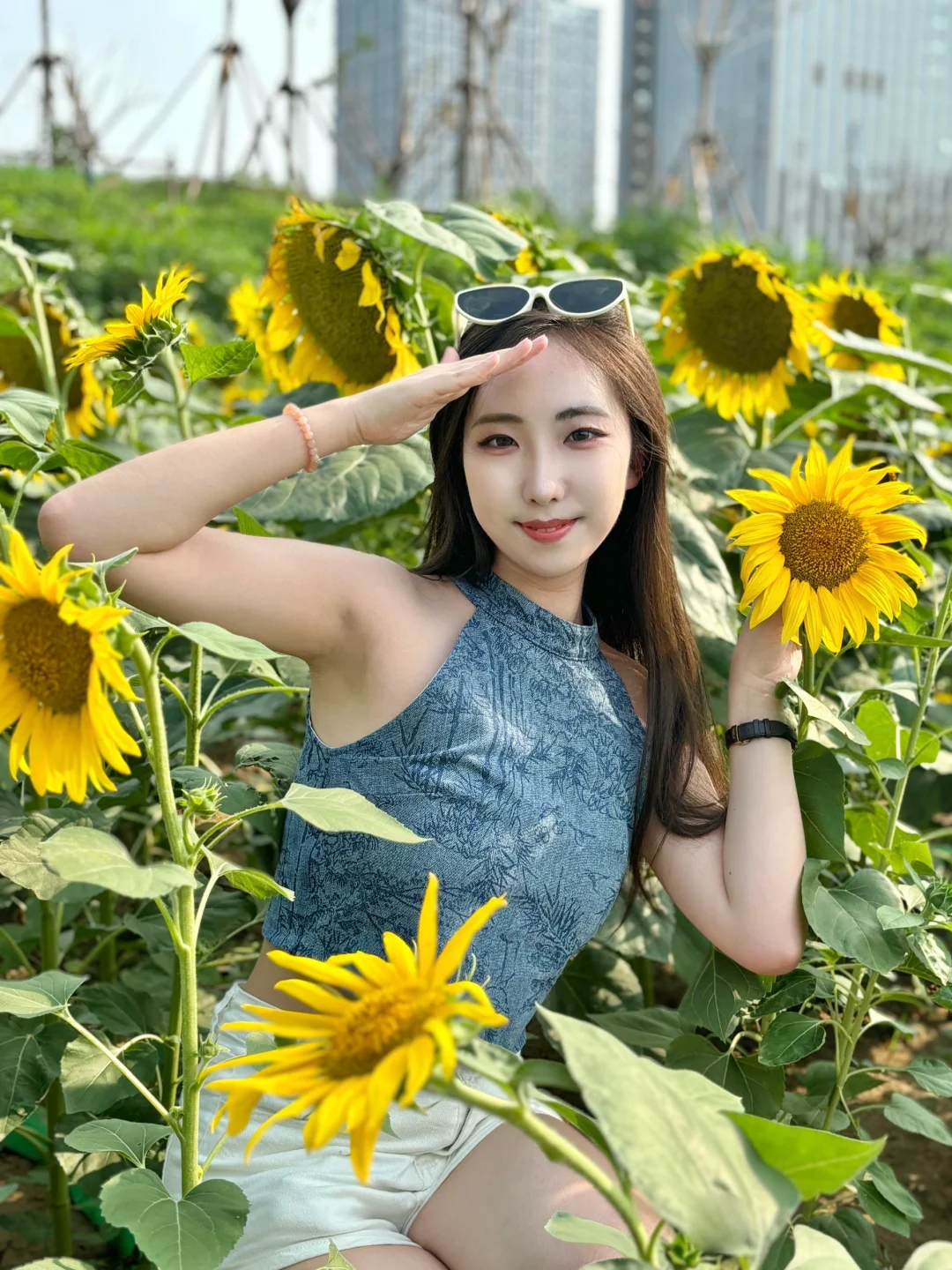 向日葵花海🌻附攻略，拍照好地方