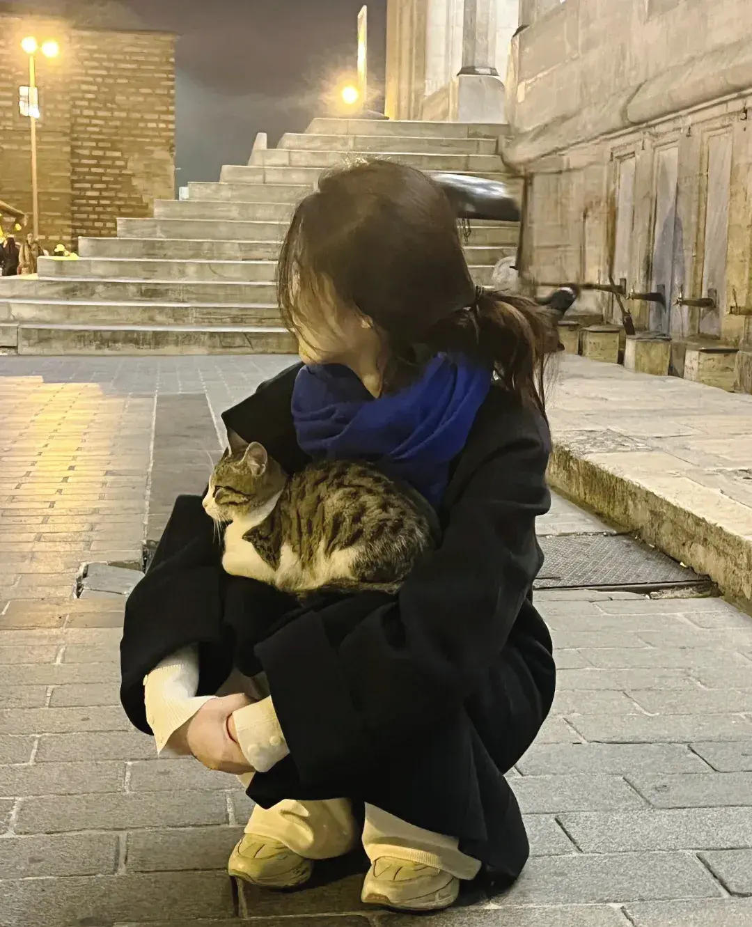 伊斯坦布尔的小猫咪主动跳到我的腿上来！ ​​​