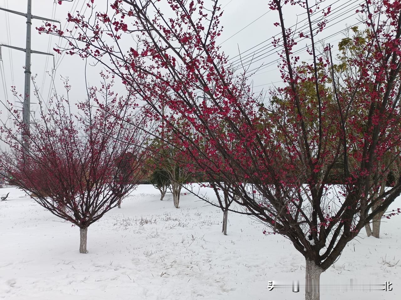 冬日生活打卡季