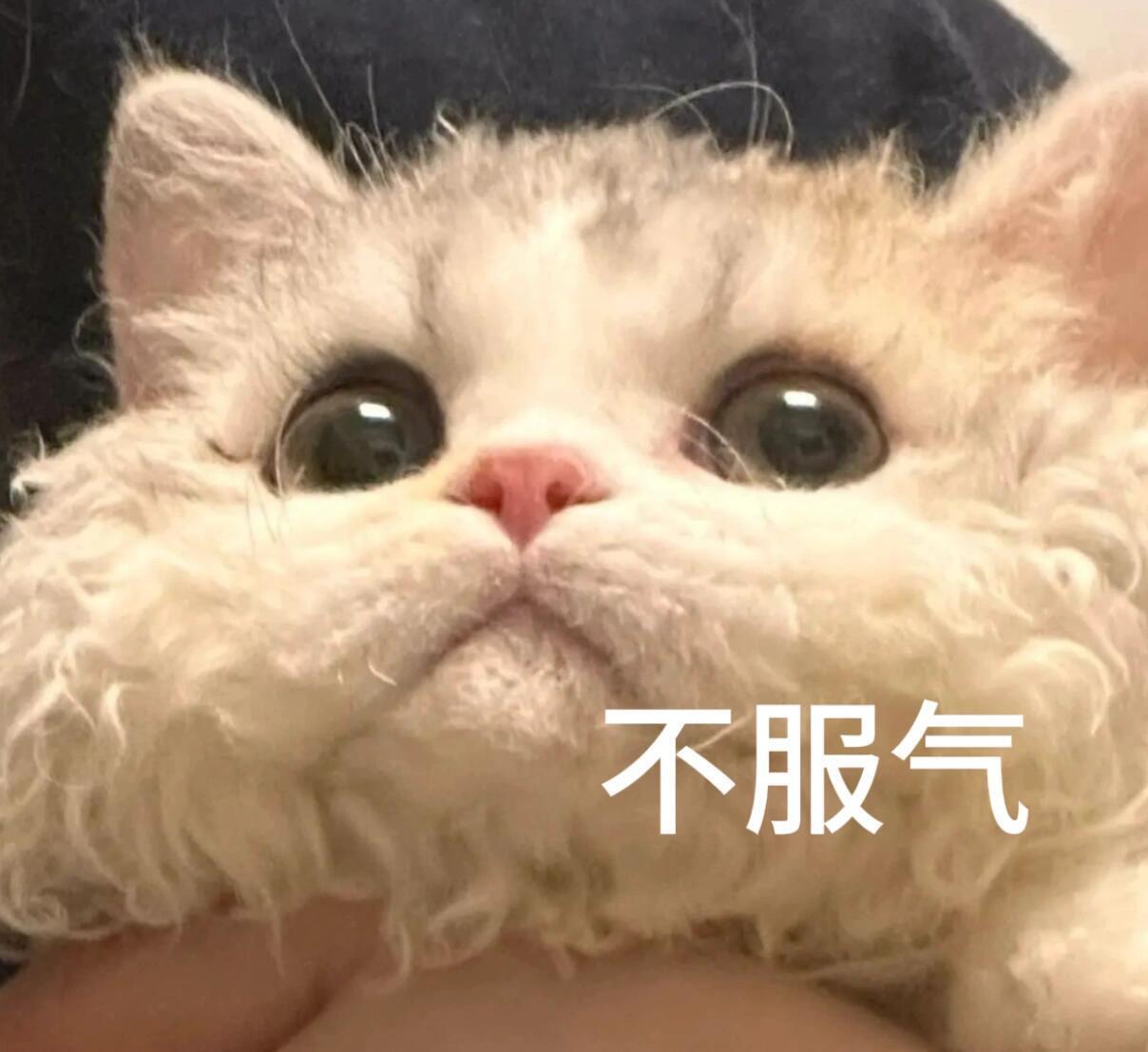 GenJI在直播间贴脸开大悟空安全 跟着博主的演示操作了一遍，难怪最近用AI工具