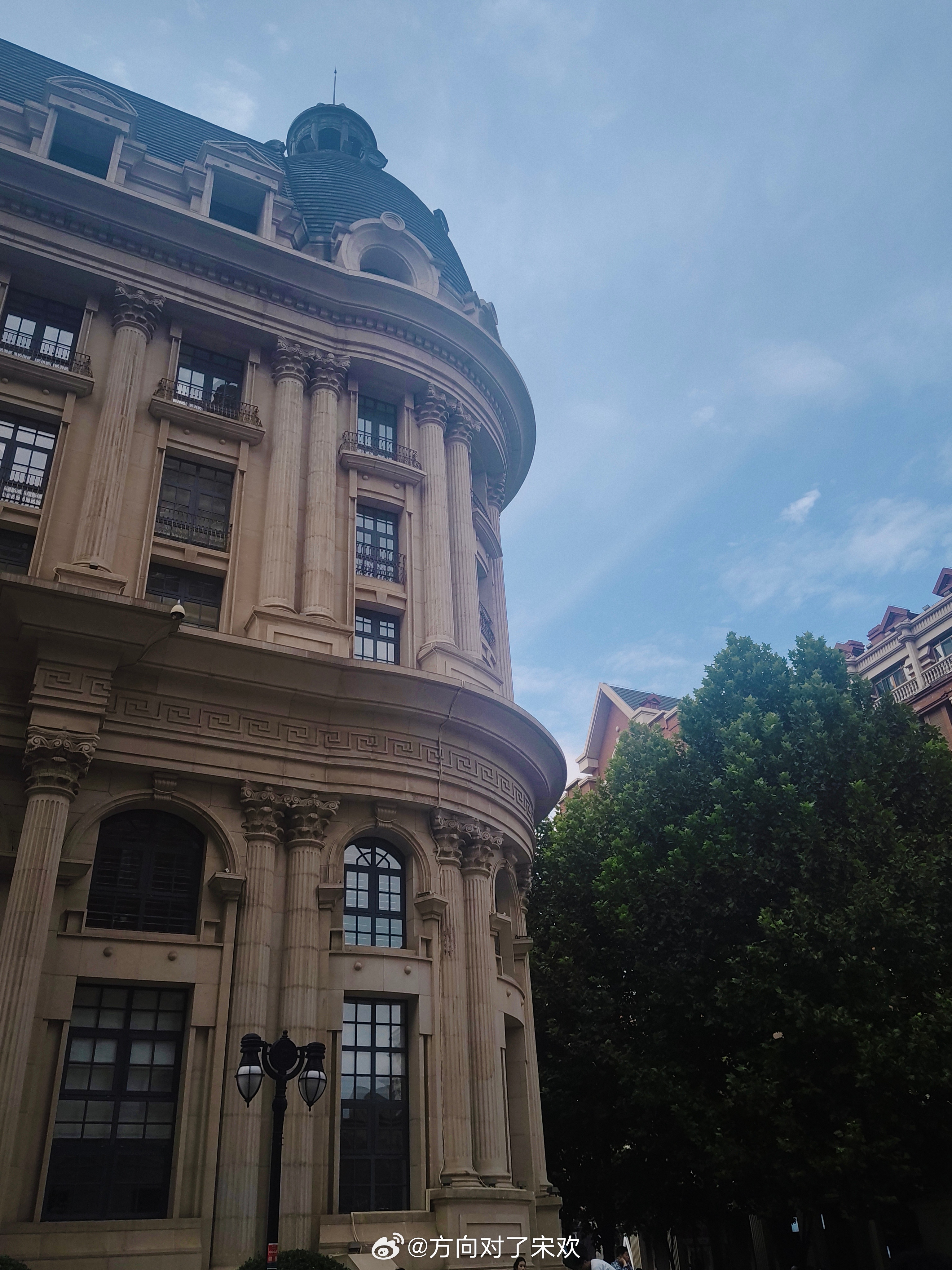 我的日常plog 春和景明 出去溜溜 