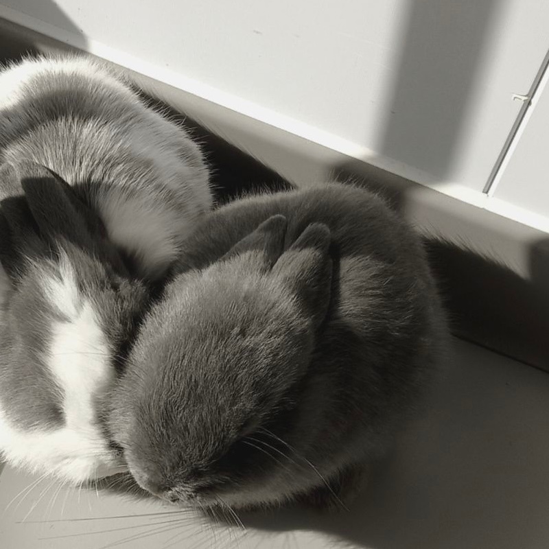 🐰𝙬𝙞𝙩𝙝 𝙮𝙤𝙪.♡⁠ 