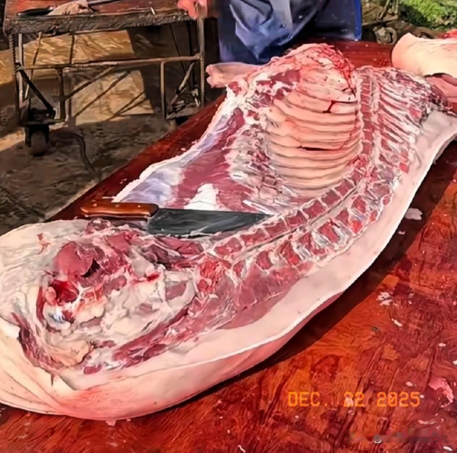 看着案板上那一堆红白相间的肉，再瞅瞅我妈那张比锅底还黑的脸，我这心里真是五味杂陈