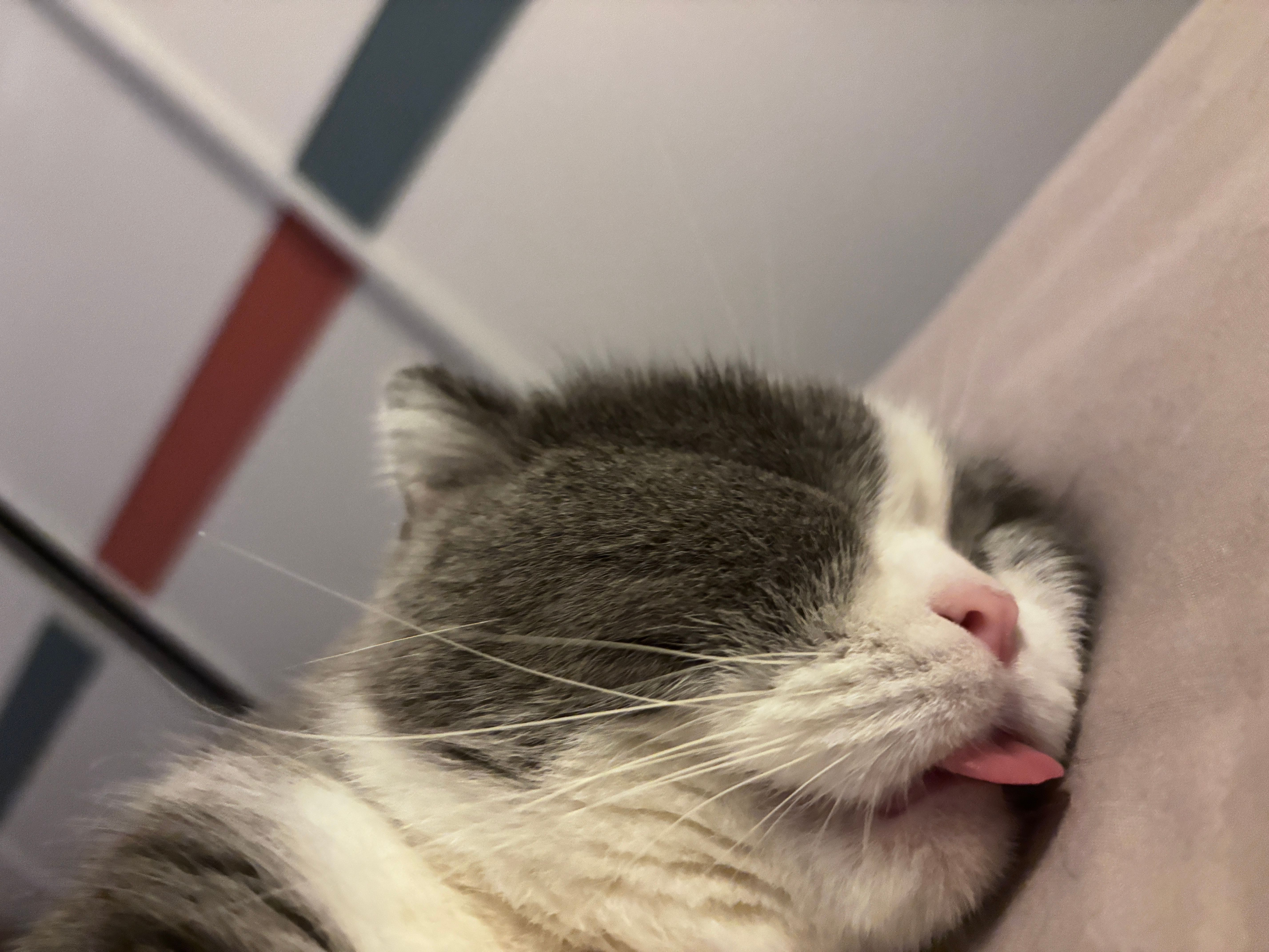 👅👅 