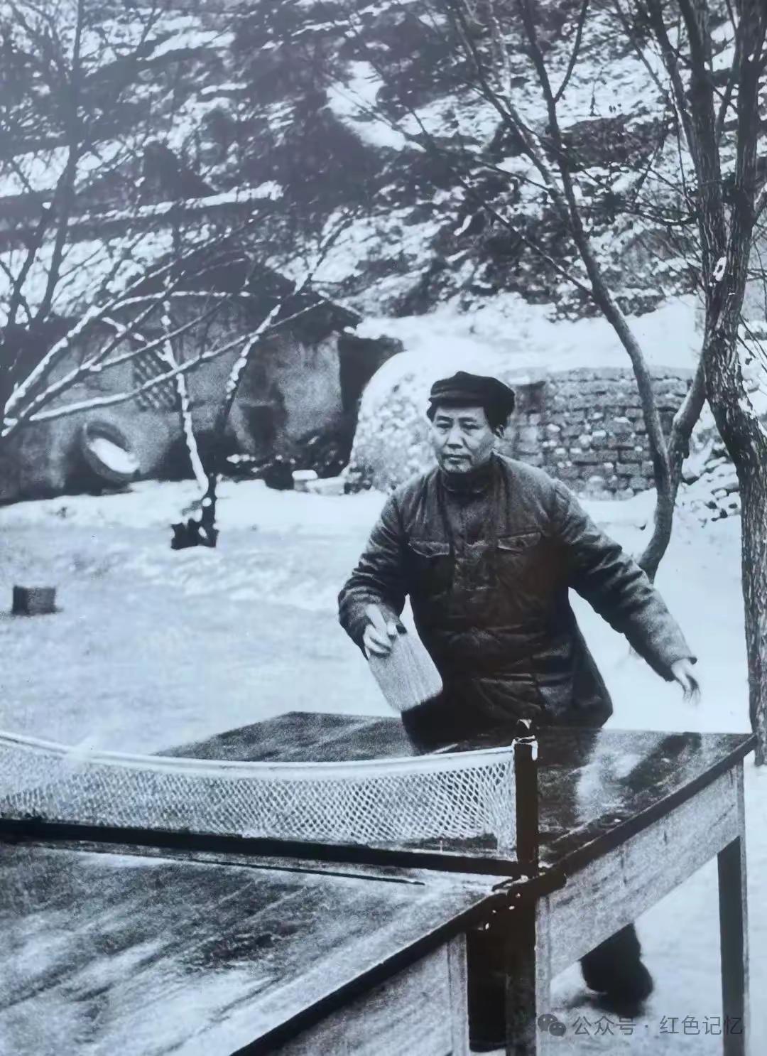 一拍打尽少年志，风骨长存照后人
 
见过无数赛场挥拍拼搏的身影，却少有人知晓，曾