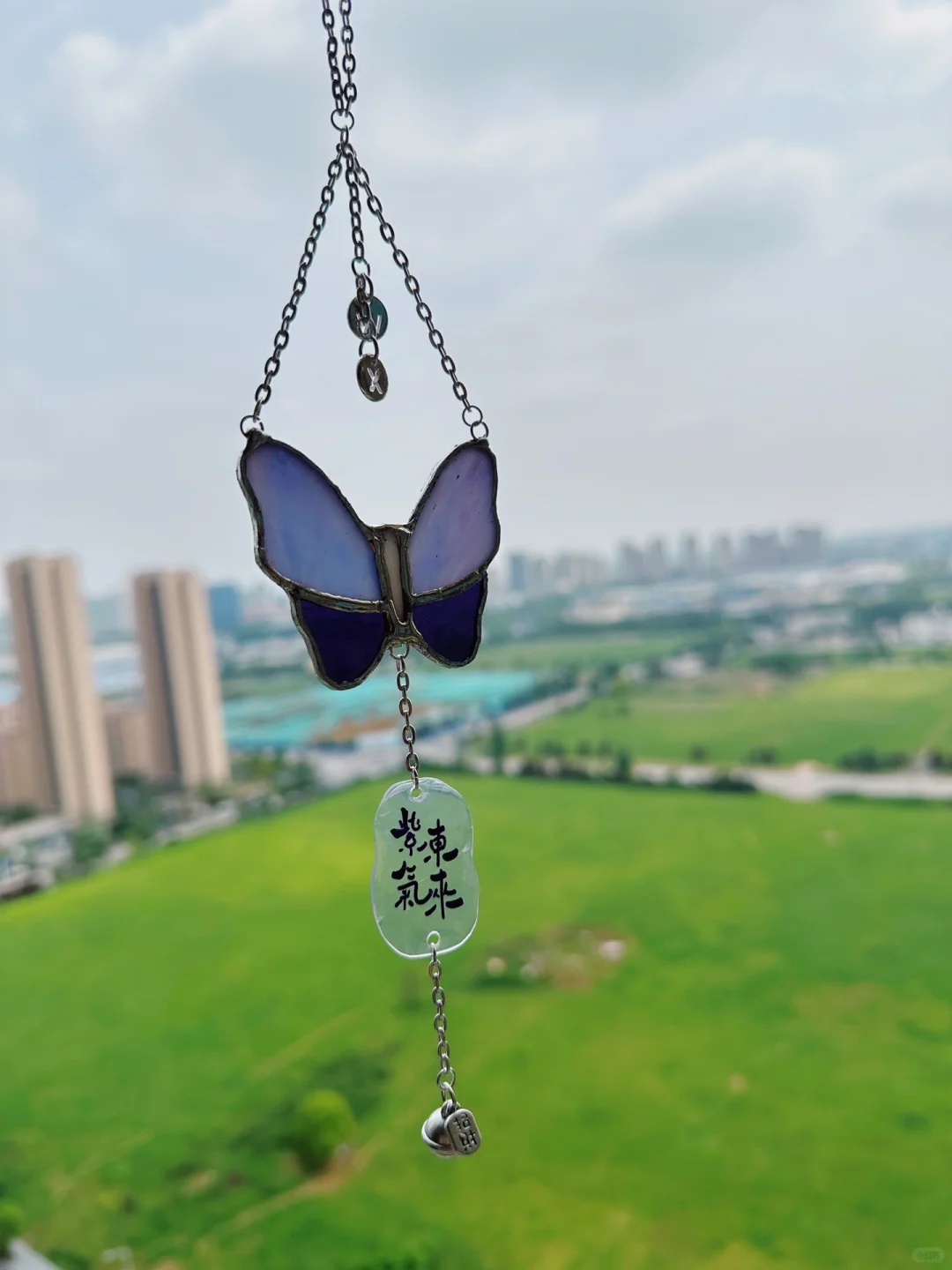 紫气东来！ 紫蝴蝶带着九紫离火大运 ……