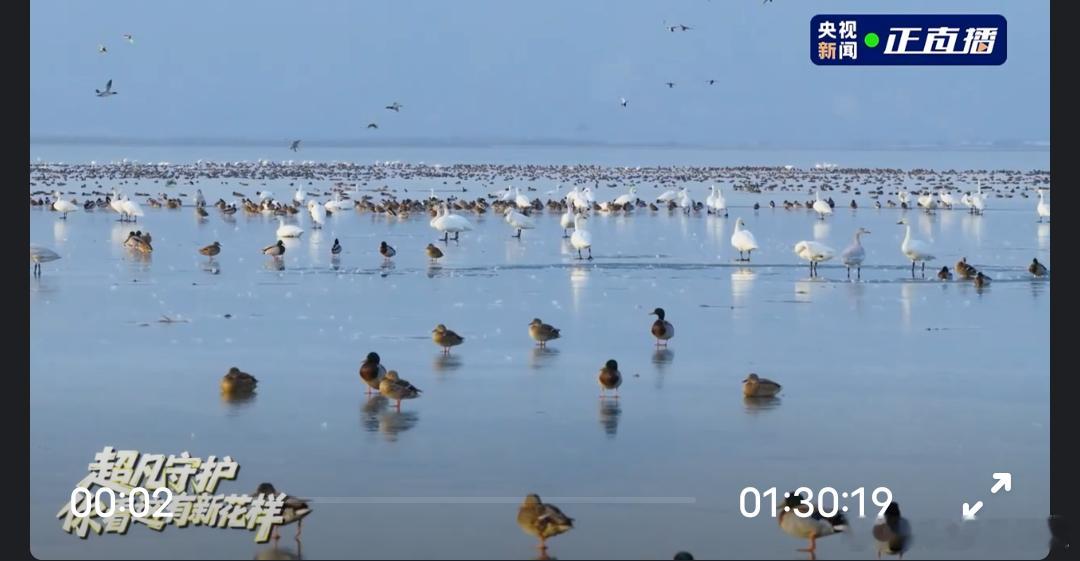 尼又在搞什么新花样  此次金领冠携手中央广播电视总台主持人尼格买提与资深记者杨新