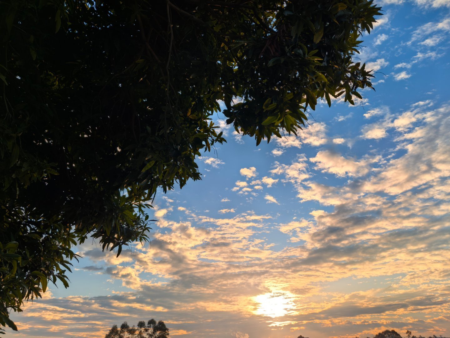 早啊，分享朝霞~ 